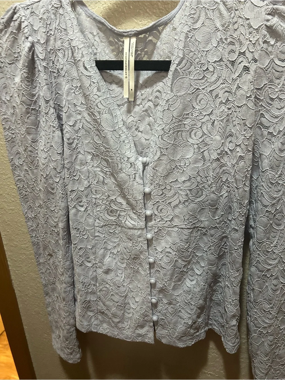 Anthropologie Light Blue Lace Button-Up Blouse